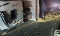 Diyarbakır'da buğday yüklü TIR devrildi