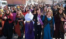 Diyarbakır’da onlarca kadın yürüdü: Halaylar çekildi