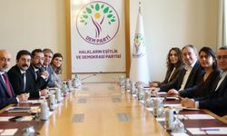 Diyarbakır’daki STK’lar Ankara’da: İlk ziyaret DEM Parti'ye