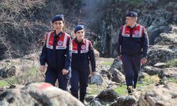 Diyarbakır'ın ekolojik dengesi korunuyor: 485 bin TL ceza!