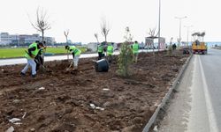 Diyarbakır’ın girişleri yenileniyor: Mardin yolu daha modern