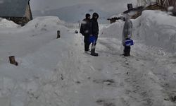 Hakkari'de eşekte kuduz tespit edildi, köy karantinaya alındı