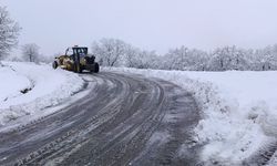 Diyarbakır’daki dondurucu soğuğun nedeni belli oldu: Bu ilçelere lapa lapa kar yağdı!
