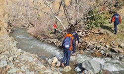 Diyarbakır'da seferberlik: 11 gündür yok, herkes onu arıyor!