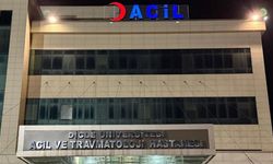 Diyarbakır’da eşini öldürdü, akrabasını ağır yaraladı!