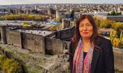 DİTAV, Diyarbakırlı bakanın kızına emanet: Aysu Aksu kimdir?