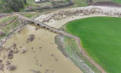 Diyarbakır'da binlerce balık öldü: Sebebi belli oldu