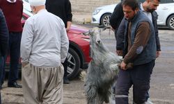 Diyarbakır'da kasaplara güvenmeyenler oraya akın etti!