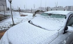 Diyarbakır merkezine sürpriz kar yağışı: İşte adresi!