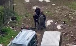 Diyarbakır'da kavga çıktı: Genç kadın bayıldı!