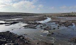 Diyarbakır'da sulama göleti patladı: Ekinler su altında kaldı