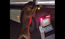 Diyarbakır'da takibe alınan TIR’da yakalandı