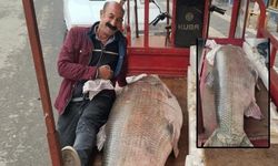 Diyarbakır'da yakaladılar: Görenler şaşkına döndü