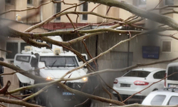 Eşini öldürüp kuzenini yaralamıştı: Diyarbakır’ı sarsan olayda yeni gelişme!