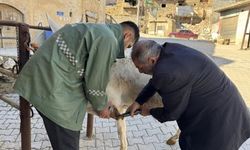 Diyarbakırlı 2 kardeş 50 yıldır nalbantlık ve semercilik yapıyorlar