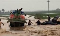 Mardin'de dereler taştı, ahır çöktü, hayvanlar öldü!