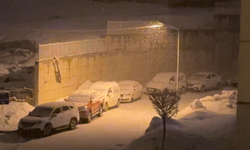 Nisan kapıda, kar Yüksekova’da: Bir gecede beyaza gömüldü!