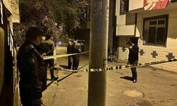 Sokak ortasındaki kavgada yoldan geçen genç kız öldü!