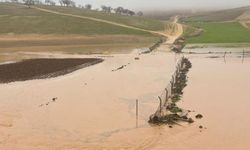 Diyarbakır’ı sağanak vurdu: Onlarca koyun öldü!