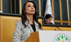 İmralı’da Öcalan için konut yapıldı: DEM Parti açıkladı