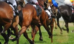 Yarış atı kavurma yapılmıştı: Bakın ne kadara satmışlar!