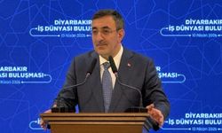 Cumhurbaşkanı Yardımcısı Yılmaz Diyarbakır’da!