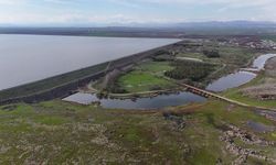 Kritik eşik aşıldı: Diyarbakır’ın üç önemli barajı yüzde 100 doldu!