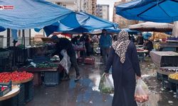 Diyarbakır semt pazarlarının şampiyonu oldu: Kilosu 120 TL!