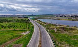 Diyarbakır’a nefes olacak: Son 1 yılda dikilen ağaç sayısı belli oldu!