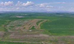 Diyarbakır'da 250 dönüm ekili tarla ilaçlanarak kurutuldu!