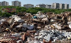 Diyarbakır’da kan donduran görüntü: Kaçak at mı kesiliyor?