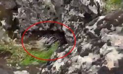 Diyarbakır’da bir ilk: Korkup taş attılar, korumaya alındı!