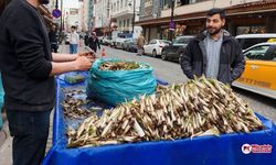 Diyarbakır’ın şifa deposu "kenger" tezgâhlara indi: İşte fiyatı