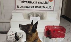 Diyarbakır’da akılalmaz yöntem: Sakladığı yer şeytanın aklına gelmez!