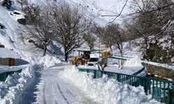Diyarbakır sınırındaki yollar 5 ay sonra ulaşıma açıldı
