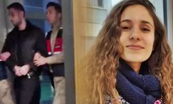 Eski Tunceli Valisi'nin oğlu Mustafa Türkay Sonel tutuklandı