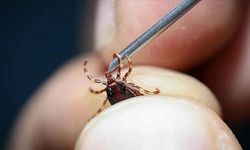 Bahar aylarının gizli tehlikesi ortaya çıktı: 21 yaşındaki gençten acı haber!