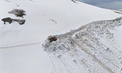 Nisan sonunda 4 metre kar yağdı: İlginç görüntüler ortaya çıktı!