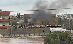 Siirt’i sel vurdu: Araçlar sularda kayboldu, onlarca hayvan öldü!