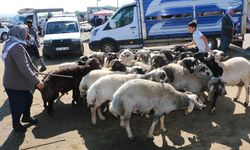 Diyarbakır’da ustalardan uyarı: “Hayvana eziyet etmeyin!”