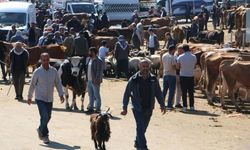 Diyarbakır kurbanlık pazarlığı sıkılaştı: Fiyatlar cüzdanları zorluyor!
