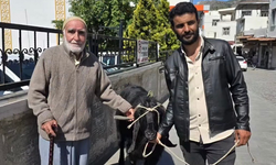 Diyarbakır’da kurban pazarlığında ters köşe: Satıcının istediğinden fazla verdi!