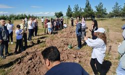 Diyarbakır’da uçurtmalar uçtu, fidanlar dikildi: 17 yıllık gelenek bozulmadı!