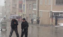 Mayıs ortasında kış geldi: O şehirde lapa lapa kar yağdı!