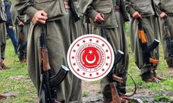 Bakanlık sayı vererek duyurdu: PKK'lılar teslim oluyor!