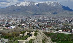 Van’da korkutan tablo: 32 ölüm, tek bir neden!