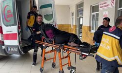 İnek kavgası kanlı bitti: Ölü ve yaralılar var