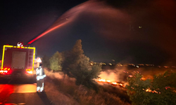 Anız yangını zeytinliğe sıçradı: 200 dönüm arazi yandı!