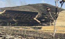 Diyarbakır'da ekili arazilerde yangın: Helikopter çağrısı yapıldı!