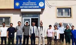 Dicle Üniversitesi'nde 15 bin hayvan tedavi görüyor